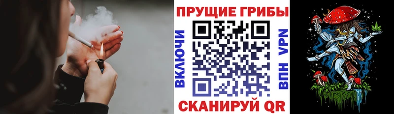 Галлюциногенные грибы Psilocybine cubensis  Оренбург 