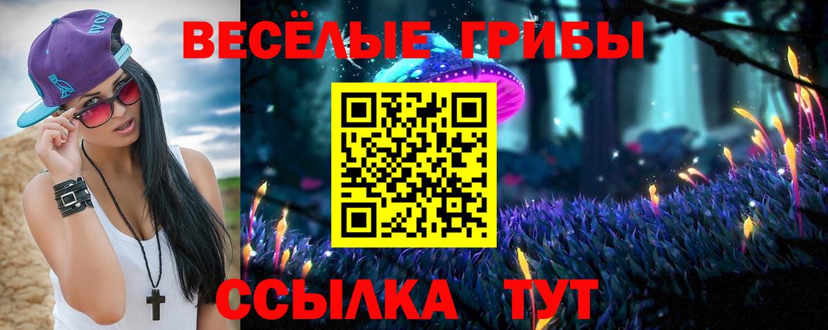 Галлюциногенные грибы Psilocybe  Вход с VPN  Оренбург 
